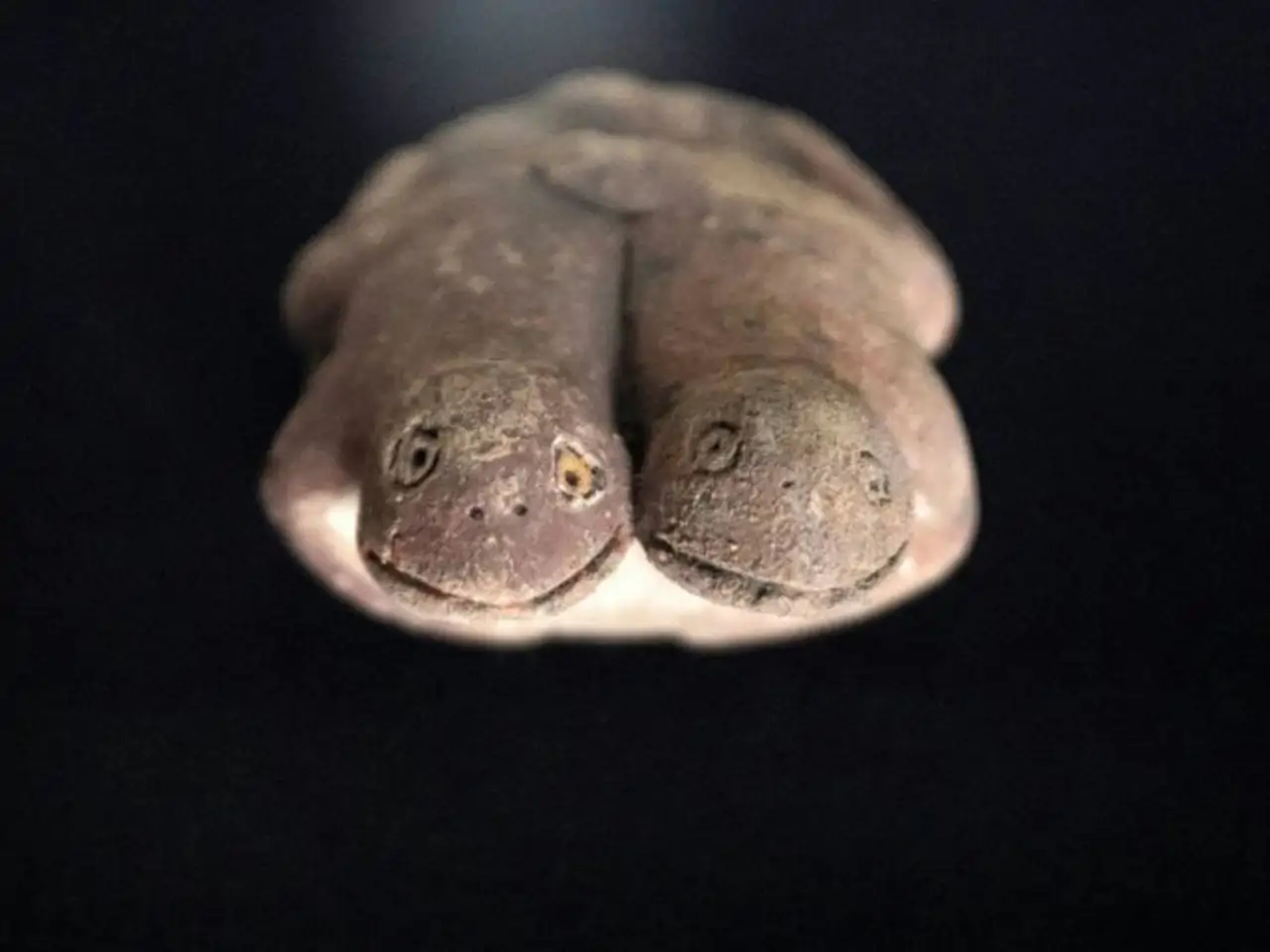 Estatuilla dual que representa a dos sapos modelados en arcilla