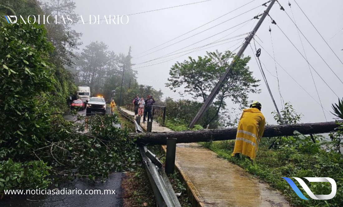 La CFE informa avances en el restablecimiento del servicio eléctrico en Veracruz